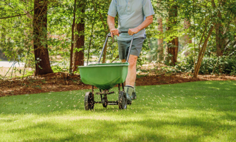 fertilizing lawn